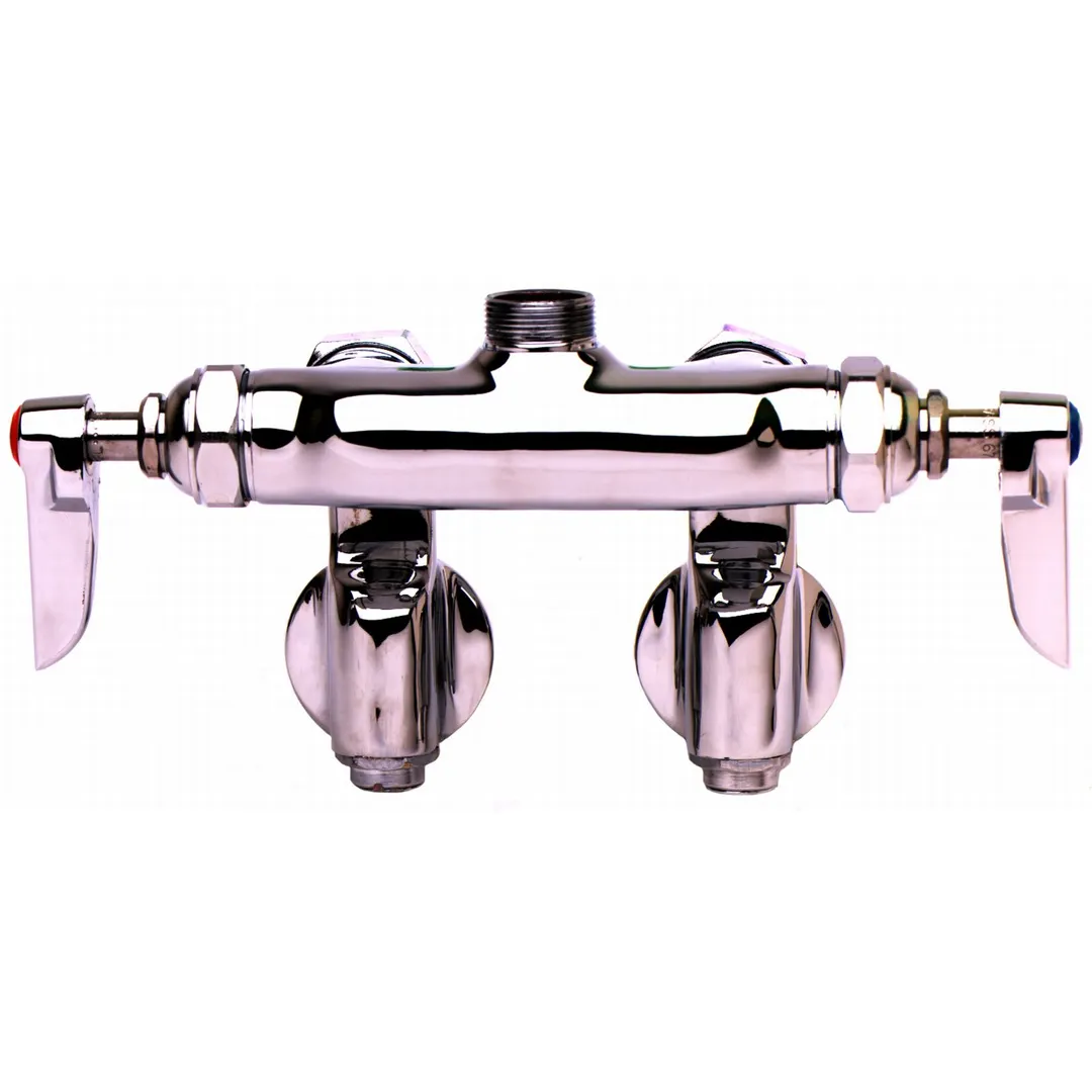T&S Brass B-0240-LN Sink Mixing Faucet, Wall Mounted