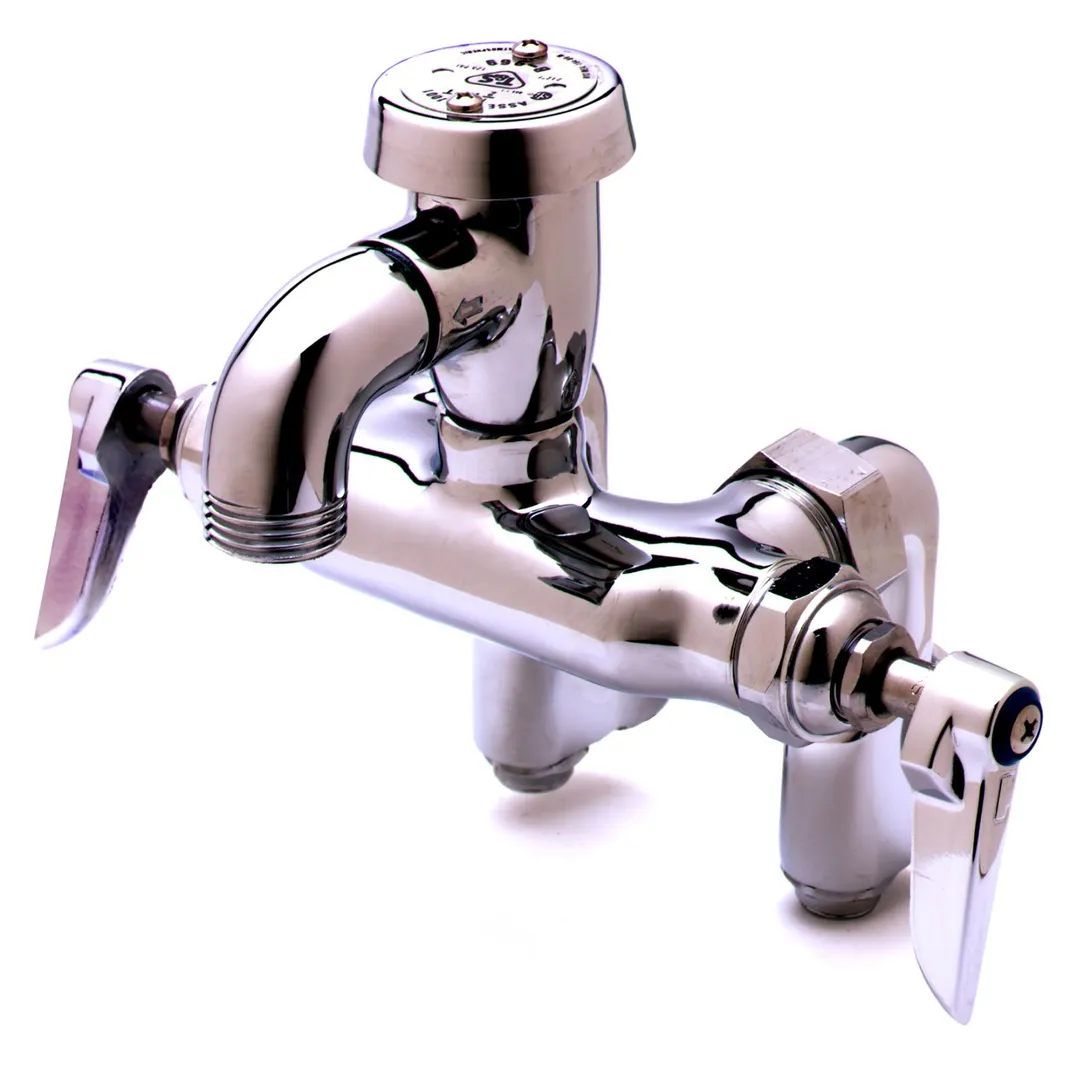 T&S Brass B-0669-POL Service Sink Faucet, 2-1/4" To 8-1/4" Adjustable Centers