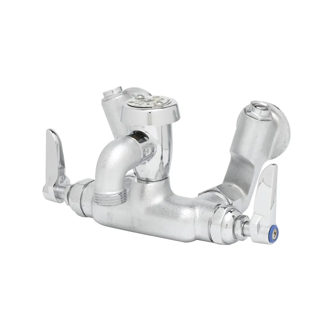 T&S Brass B-0669-RGH Service Sink Faucet, Wall Mount, 1/2" Npt Vacuum Breaker