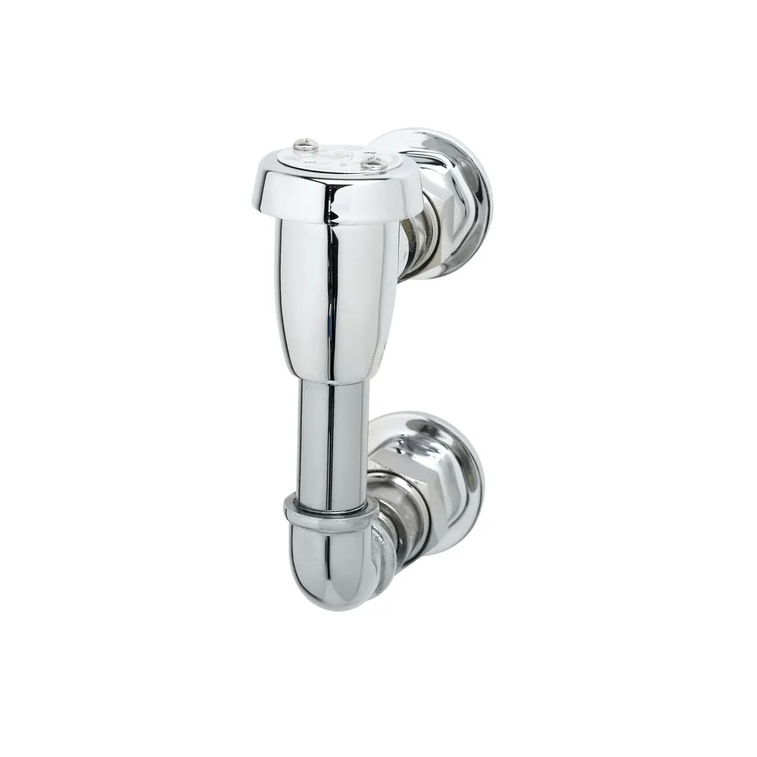 T&S Brass B-0929-A Vacuum Breaker Assembly, All Brass, Heavily Chromium Plated
