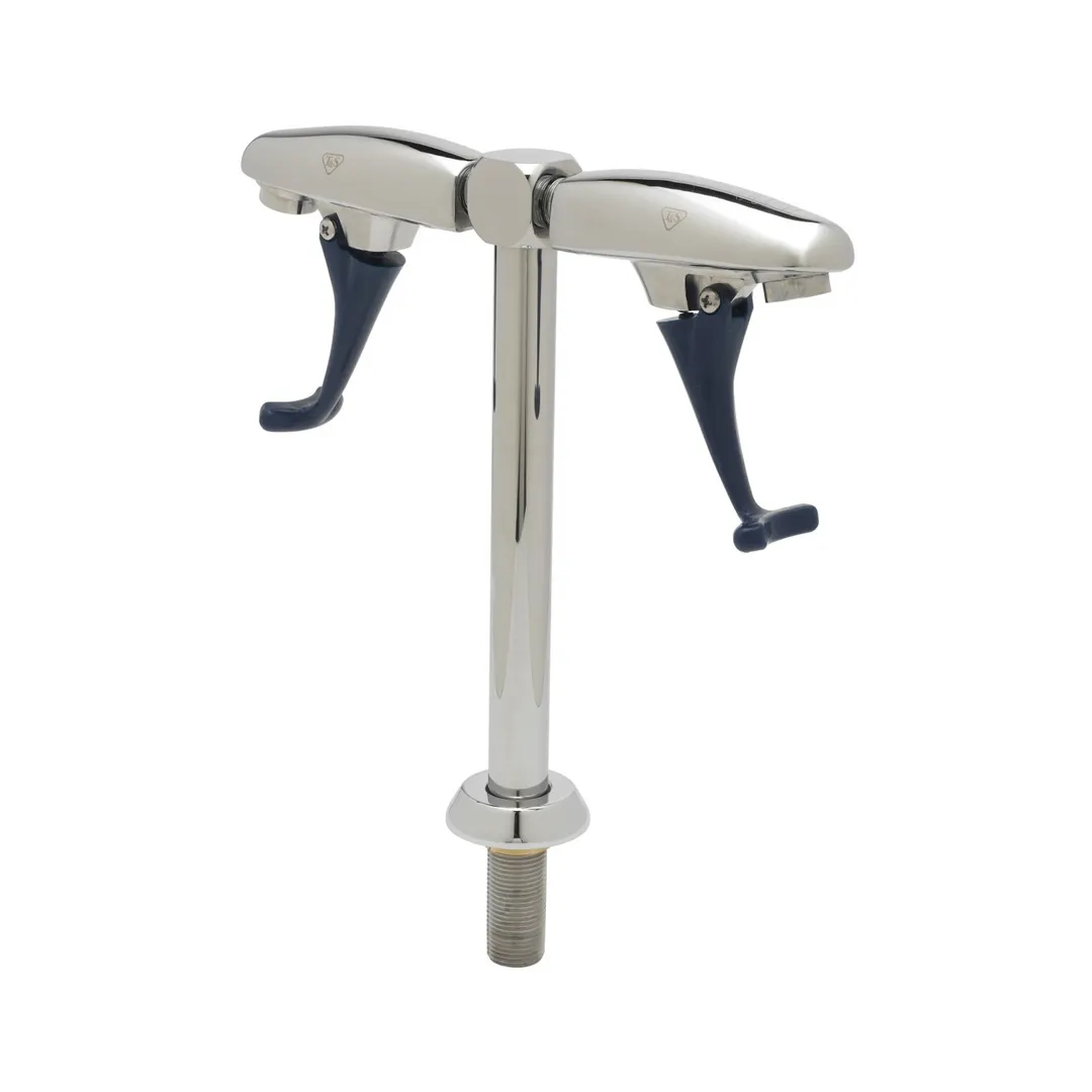 T&S Brass B-1215 Double Glass Filler Faucet, Pedestal, Push Back, Wall Mounted