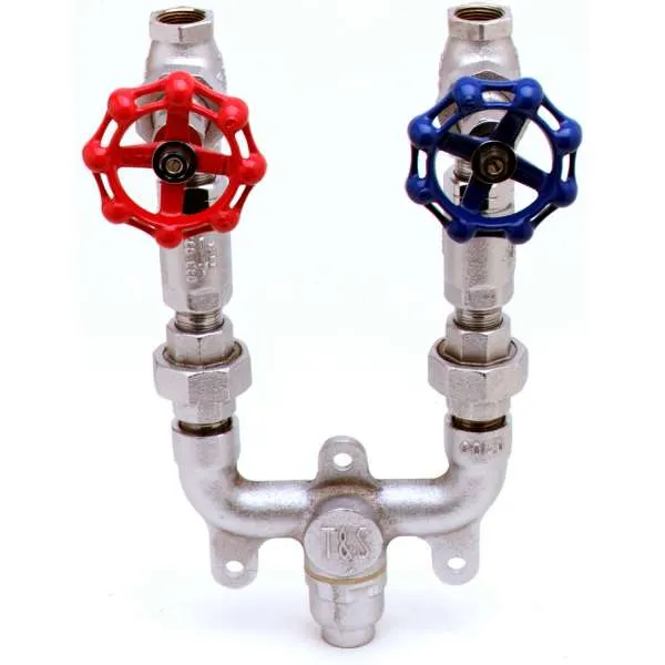 T&S Brass MV-0771-12C Mixing Valve Assembly, 3/4" Check Valves