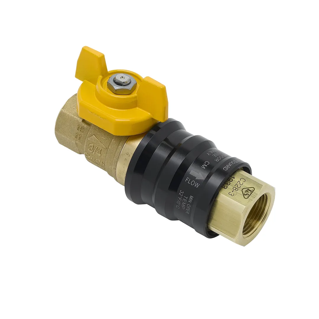 T&S Brass AG-9D Safe-T-Guard Combination Gas Valve, Quick Disconnect, 3/4" Npt