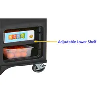 product of Cambro CVC75LSRL Lower Cabinet Shelves, Adjustable, For Cvc75, Made In Usa