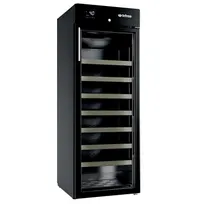 product of Infrico USA IMD-EVV70 12 cu ft Keg Cooler, Black Exterior, 20"-36" Width, Glass Door, Digital