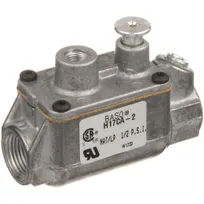product of AllPoints 541125 Natural Gas/LP Pilot Safety Valve