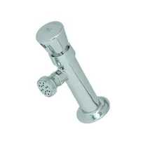 product of T&S Brass B-0800 Slow Self-Closing Faucet, Heavy Duty, Splash Mount, Push Button