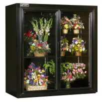 product of Powers FR70SD Floral Merchandiser - 70" Wide, 66 cu ft, 2-Section, 1/2 HP, 115V, LED Lighting