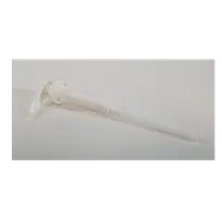product of TableCraft Products 10526 - Syrup Pump, 1/4 Oz, 9-1/4" Dip Tube, 38mm Lid, White PP, Dishwasher Safe