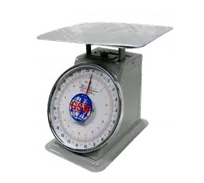 product of GSW USA SC-P2 Dial Portion Scale