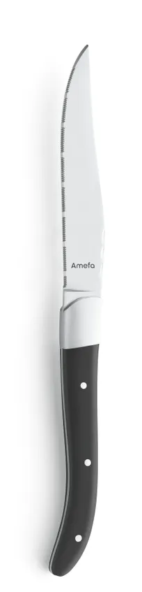 product of Amefa 2520A1B000113 Steak Knife, 8-13/16" 18/10 Stainless Steel Blade, ABS Handle, Royal Steak Series