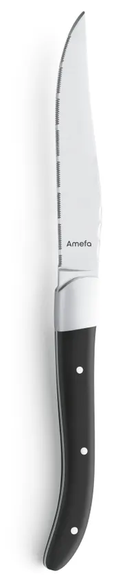 product of Amefa 2520A1B000621 - Steak Knife XL, 9-13/16" 18/10 Stainless Blade, ABS Matte Handle - 1/Case