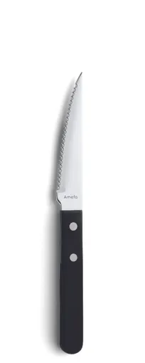 product of Amefa 700000B000315 Serrated Steak Knife, 8-1/4" Mirror Finish Blade, 3Cr14 Stainless Steel - 1 Dozen