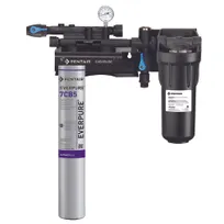 product of Everpure EV979721 for Steam Equipment Water Filtration System