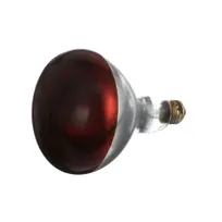 product of AllPoints 381133 Heat Lamp Bulb