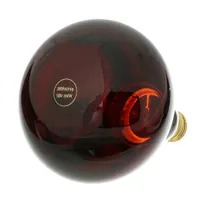 product of AllPoints 381033 Heat Lamp Bulb