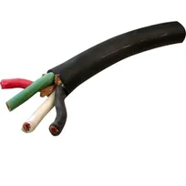 product of AllPoints 8010132 Electrical Cord