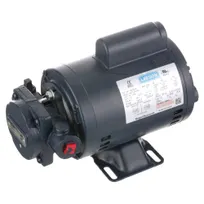 product of AllPoints 8402941 Hp Pump & Motor Assembly