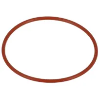 product of AllPoints 321662 O-Ring, for water filter Q-756