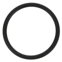 product of AllPoints 321888 O-ring (F/ Checkvalve, 1-3/4" Od