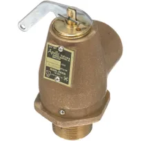 product of AllPoints 561346 Steam Pressure Regulator, 3/4" NPT, 35 PSI, 610 lbs/hr, Brass Safety Relief Valve