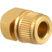 product of AllPoints 261261 Charge Port, #42, 1/2"L X 5/16" Od, Brass