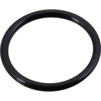 product of AllPoints 321524 O‑Ring For Condiment Dispenser, 1‑3/16" OD × 1" ID, Black Rubber Seal