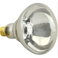 product of AllPoints 381035 Infrared Bulb, Clear, Medium Base, 115/125V, 250 Watt, Nsf