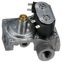 product of AllPoints 511541 Natural Gas Control/Regulator