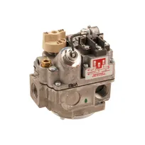 product of AllPoints 541009 Gas Valve