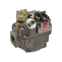 product of AllPoints 541011 Gas Valve