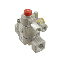product of AllPoints 541021 Gas Valve