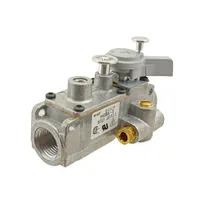product of AllPoints 541023 Baso® Safety Valve, Thermocouple, 1/4" Tubing, 1/2" NPT
