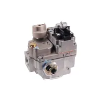 product of AllPoints 541087 Natural Gas Combination Safety Valve, 1/2" NPT, 24V