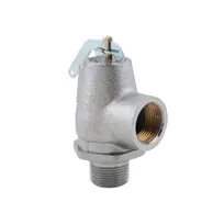 product of AllPoints 561014 Steam Safety Valve, 25 PSI, 3/4" NPT