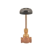 product of AllPoints 561101 Globe Steam Valve, long handle, 3/8" NPT