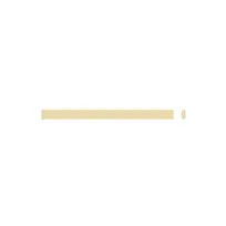 product of Arcobaleno AMFE50#21A Extruder Die, 3.5 X 1.6Mm, Linguine