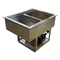 product of BK Resources E-CP1-2 Drop-In Cold Food Well, (2) Wells, 1" Deep Pan Rails
