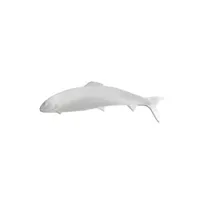 product of GET PHT06BR Bugambilia Trout Aluminum Fish Dish, 30.51" L x 10.04" W x 2.56" Deep, Brick