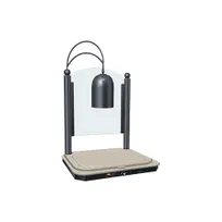 product of Hatco DCSB400-2420-1 Decorative Carving Station with Single Heat Lamp (Clear Bulb Included)