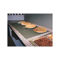 product of Hatco GRSBF-54-I Glo-Ray® Built In Heated Shelf with Flush Top