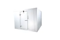 product of Mr.Winter MRW6X6FFLHH 6' X 6' Indoor Walk-In Freezer Box Only with Floor