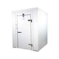product of Mr.Winter MRW6X6CNFLHH 6' X 6' Indoor Walk-In Cooler Box Only without Floor