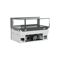 product of Structural Concepts NE4813RSV 48" Reveal Full Service Refrigerated Slide In Counter Case