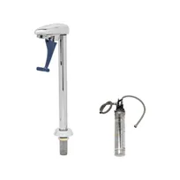 product of T&S Brass B-1210-01-WFK Glass Filler with Water Filtration Kit, 10"