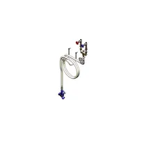 product of T&S Brass B-1450-01 Washdown Faucet, Wall Mount, Stainless Steel Thermometer