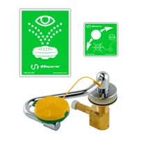 product of T&S Brass EW-7611 Eyewash Unit, Countertop Mounted, Pull Down Eye/Face Wash