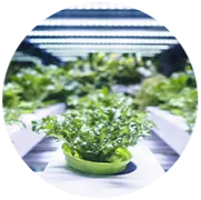 Walk-in Grow-Room Coolers