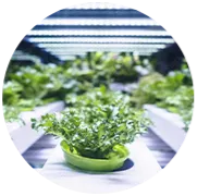 Walk-in Grow-Room Coolers