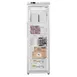 Koolmore KM-RIF-1GD12C-A 24" 1-Glass Door Reach-In Freezer, Bottom Mount, 12 cu. ft. 2 image